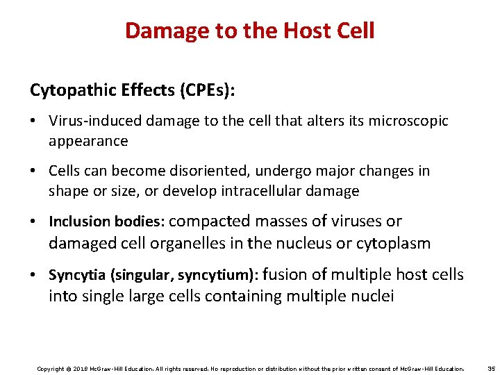 Damage to the Host Cell Cytopathic Effects (CPEs): • Virus-induced damage to the cell