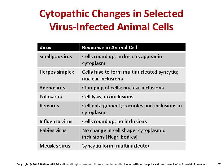 Cytopathic Changes in Selected Virus-Infected Animal Cells Virus Response in Animal Cell Smallpox virus