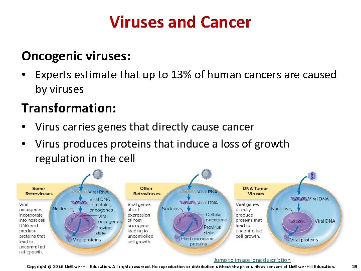 Viruses and Cancer Oncogenic viruses: • Experts estimate that up to 13% of human