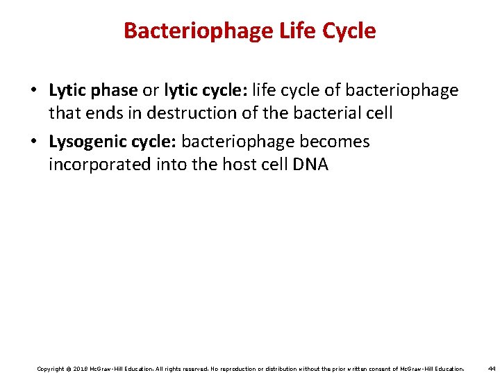 Bacteriophage Life Cycle • Lytic phase or lytic cycle: life cycle of bacteriophage that