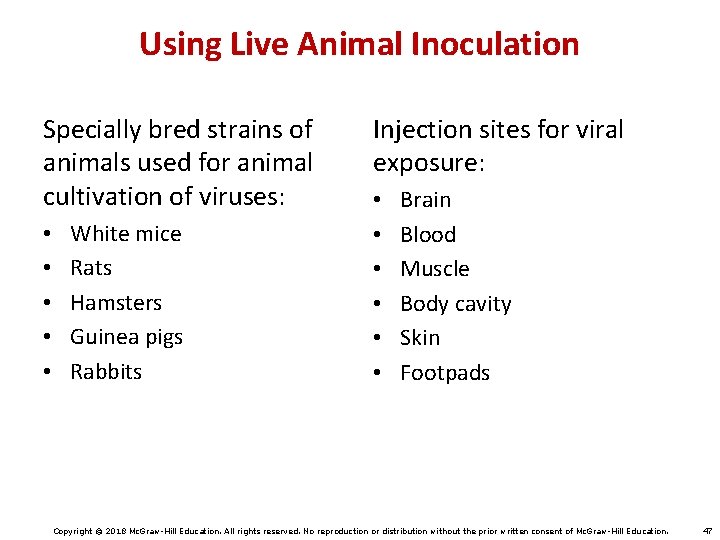 Using Live Animal Inoculation Specially bred strains of animals used for animal cultivation of