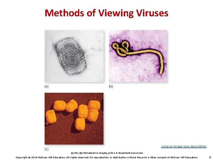 Methods of Viewing Viruses Jump to image long description (a) CDC; (b) CDC/Frederick A.