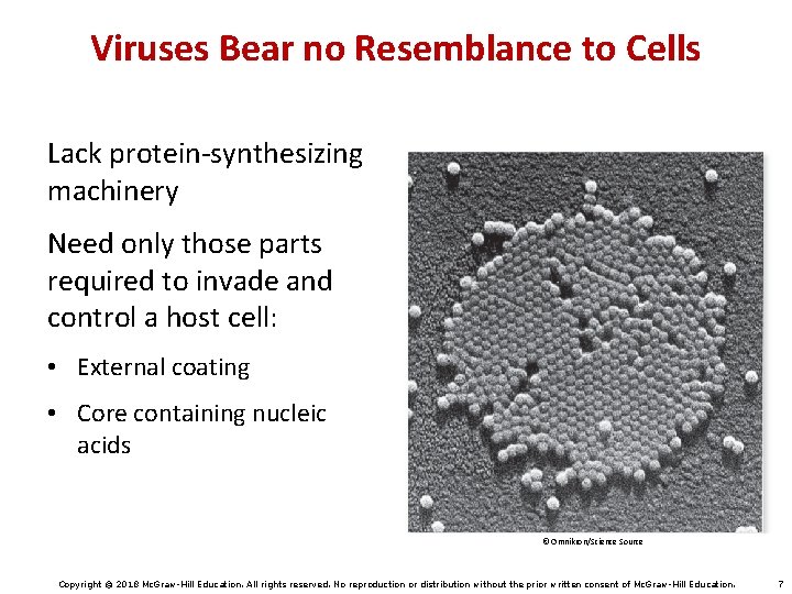 Viruses Bear no Resemblance to Cells Lack protein-synthesizing machinery Need only those parts required