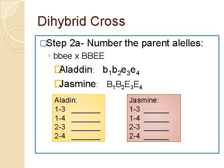 Dihybrid Cross �Step 2 a- Number the parent alelles: ◦ bbee x BBEE �Aladdin:
