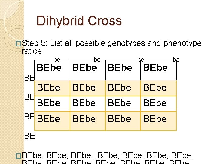 Dihybrid Cross �Step 5: List all possible genotypes and phenotype ratios be be be Dihybrid Cross �Step 5: List all possible genotypes and phenotype ratios be be be