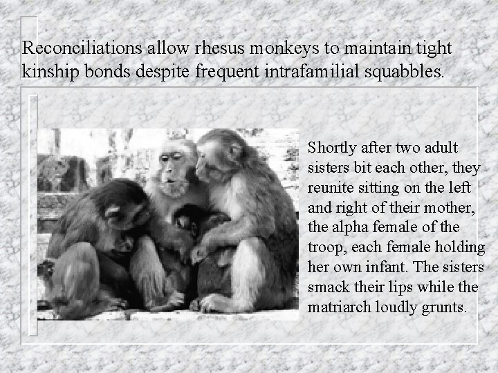 Reconciliations allow rhesus monkeys to maintain tight kinship bonds despite frequent intrafamilial squabbles. Shortly