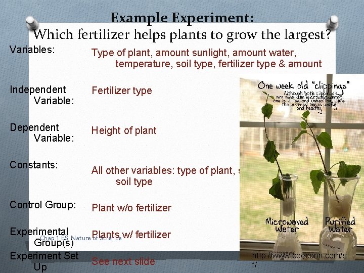 Example Experiment: Which fertilizer helps plants to grow the largest? Variables: Type of plant,