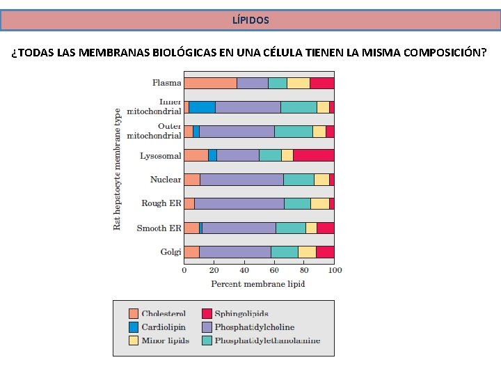 LÍPIDOS ¿TODAS LAS MEMBRANAS BIOLÓGICAS EN UNA CÉLULA TIENEN LA MISMA COMPOSICIÓN? 