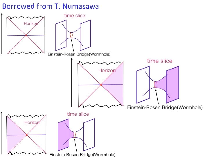 Borrowed from T. Numasawa 