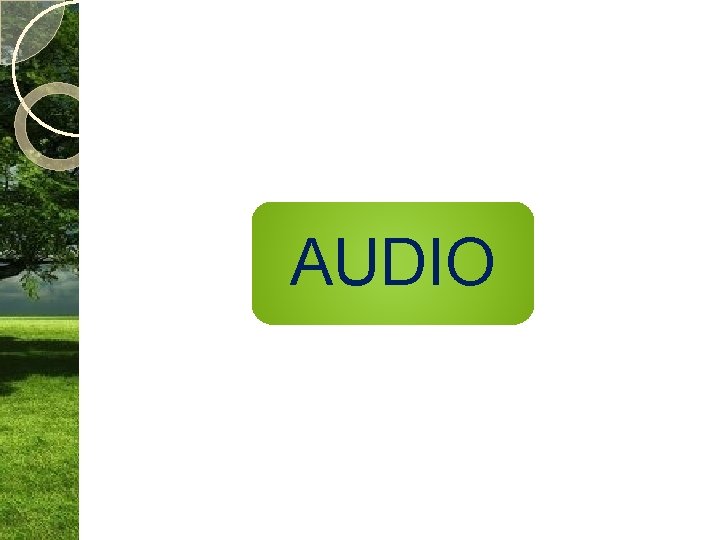 AUDIO 