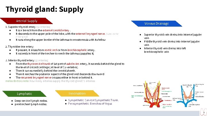 Thyroid gland: Supply Arterial Supply 1. Superior thyroid artery : (2 arteries) ● It Thyroid gland: Supply Arterial Supply 1. Superior thyroid artery : (2 arteries) ● It