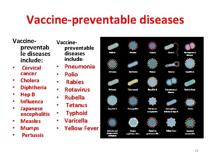 Vaccine-preventable diseases Vaccinepreventable diseases include: • Pneumonia • Cervical cancer • Polio • Cholera