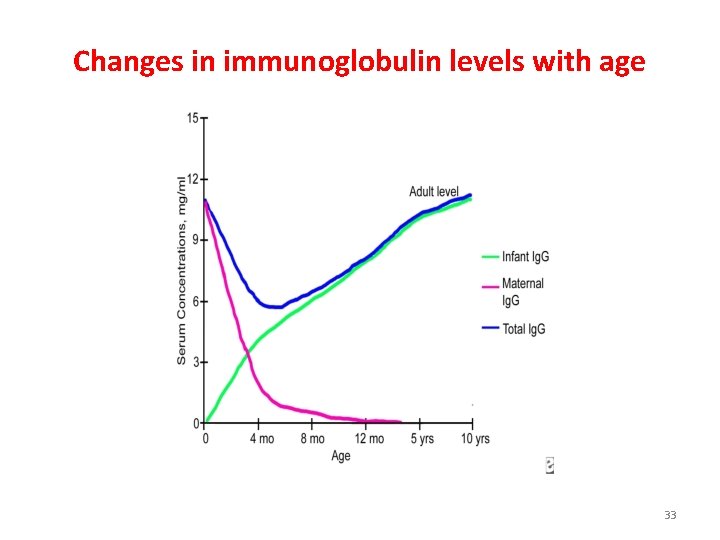 Changes in immunoglobulin levels with age 33 