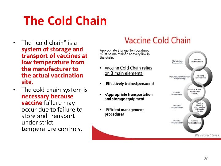 The Cold Chain • The "cold chain" is a system of storage and transport