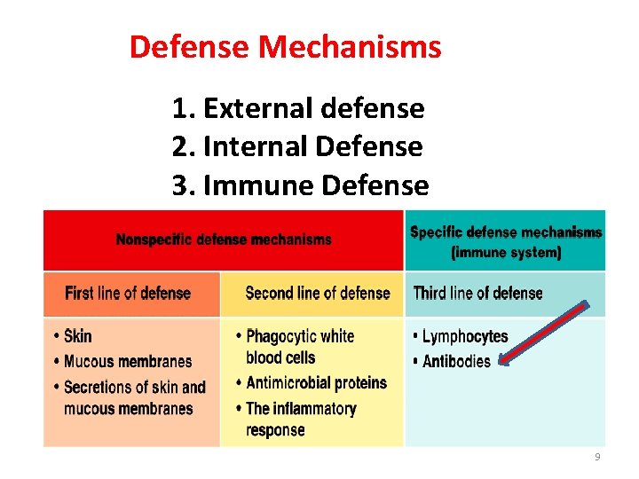 Defense Mechanisms 1. External defense 2. Internal Defense 3. Immune Defense 9 