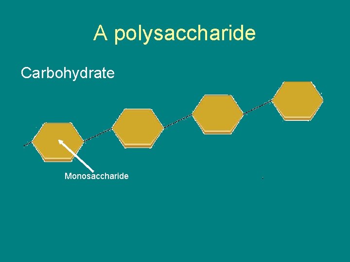 A polysaccharide Carbohydrate Monosaccharide 