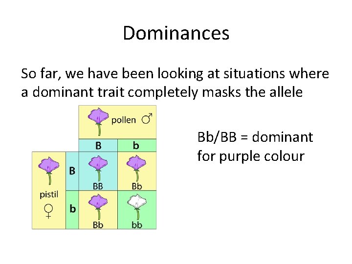 Dominances So far, we have been looking at situations where a dominant trait completely
