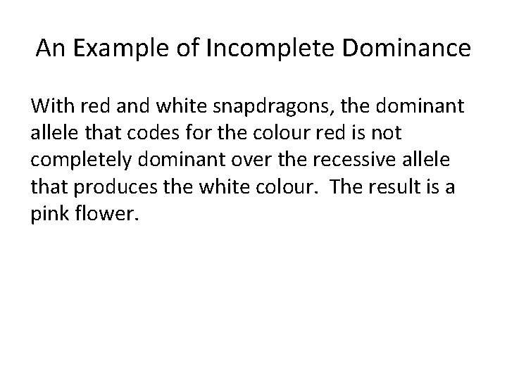 An Example of Incomplete Dominance With red and white snapdragons, the dominant allele that
