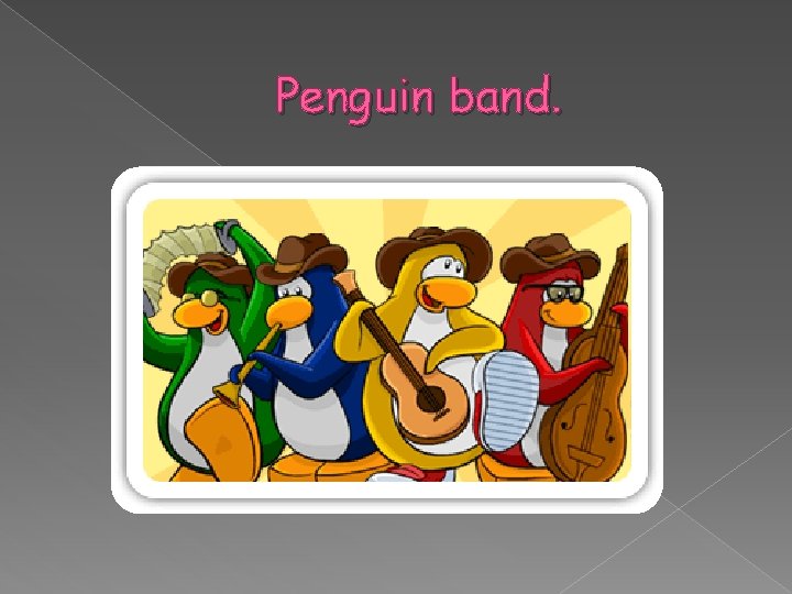 Penguin band. 