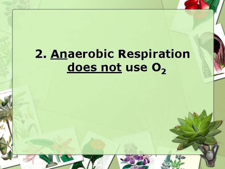 2. Anaerobic Respiration does not use O 2 