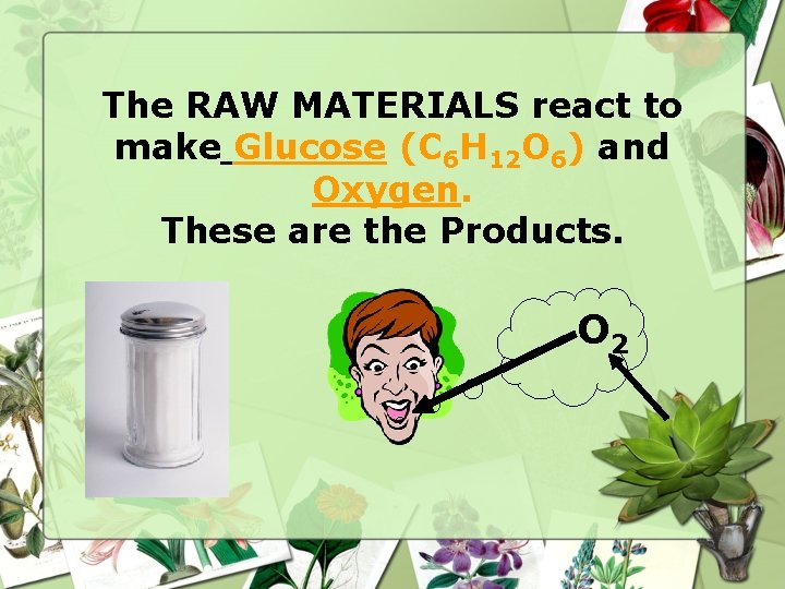 The RAW MATERIALS react to make Glucose (C 6 H 12 O 6) and