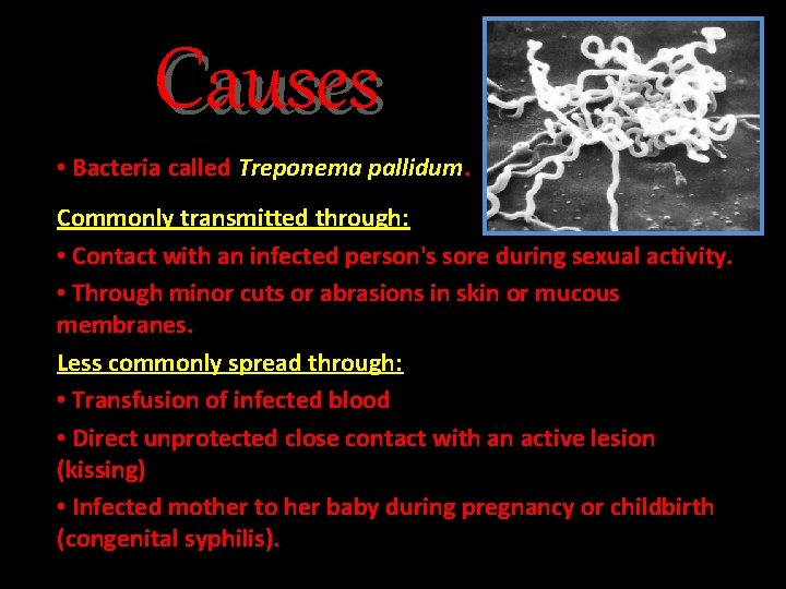 Causes • Bacteria called Treponema pallidum. Commonly transmitted through: • Contact with an infected