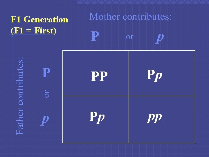 P Mother contributes: P or p PP Pp Pp pp or Father contributes: F