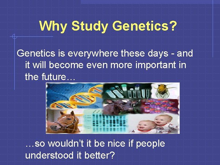Why Study Genetics? Genetics is everywhere these days - and it will become even