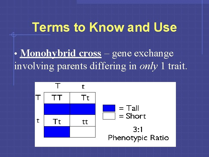 Terms to Know and Use • Monohybrid cross – gene exchange involving parents differing