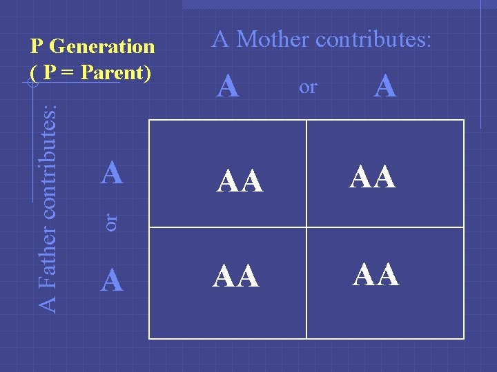 A A Mother contributes: A or A AA AA or A Father contributes: P