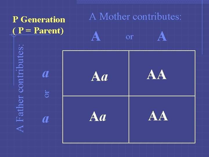 a A Mother contributes: A or A Aa AA or A Father contributes: P