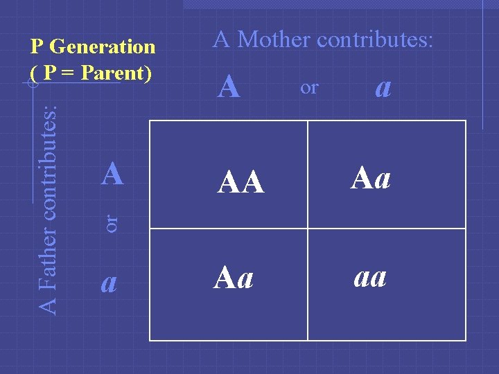 A A Mother contributes: A or a AA Aa Aa aa or A Father