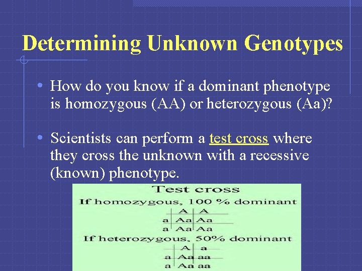 Determining Unknown Genotypes • How do you know if a dominant phenotype is homozygous