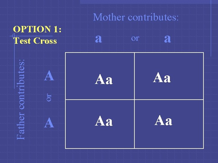 Mother contributes: A a or a Aa Aa or Father contributes: OPTION 1: Test