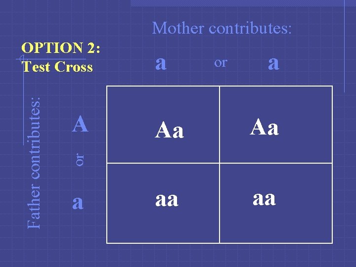 Mother contributes: A a or a Aa Aa aa aa or Father contributes: OPTION