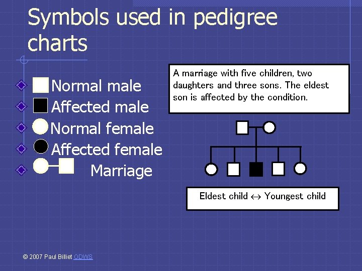 Symbols used in pedigree charts Normal male Affected male Normal female Affected female Marriage