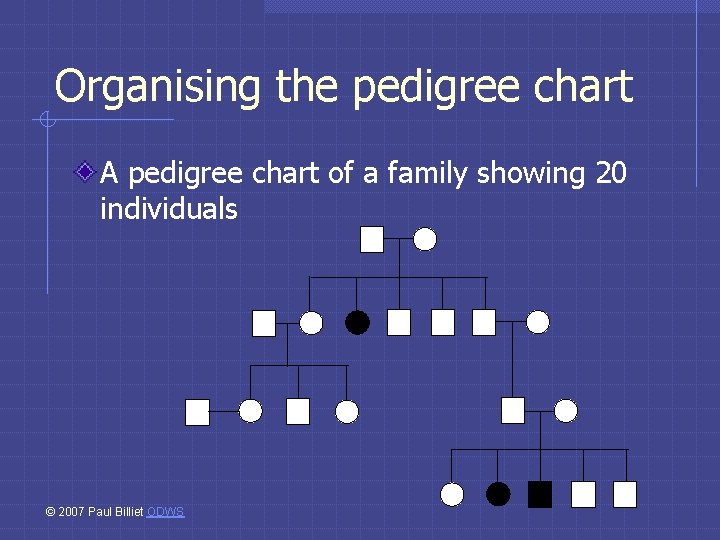Organising the pedigree chart A pedigree chart of a family showing 20 individuals ©