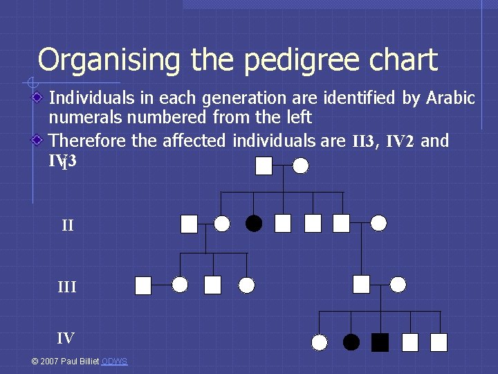 Organising the pedigree chart Individuals in each generation are identified by Arabic numerals numbered