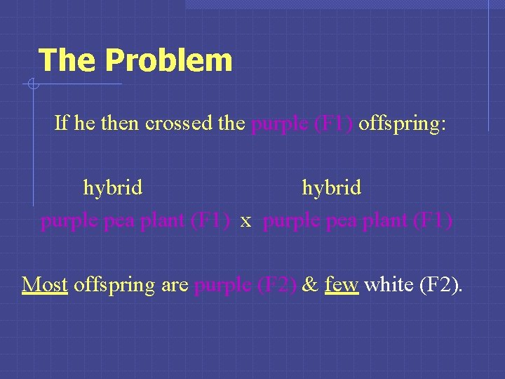 The Problem If he then crossed the purple (F 1) offspring: hybrid purple pea