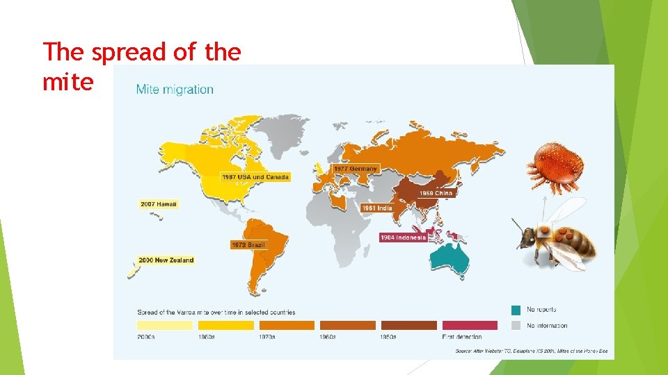 The spread of the mite 