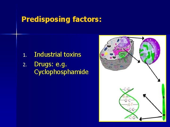 Predisposing factors: 1. 2. Industrial toxins Drugs: e. g. Cyclophosphamide 