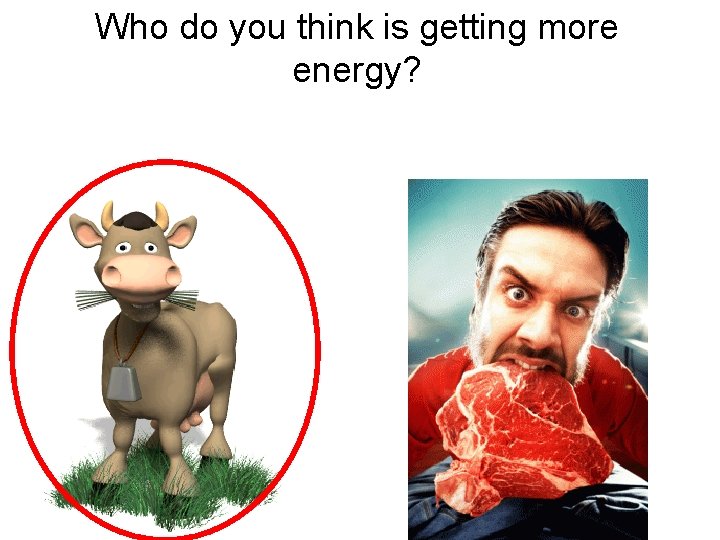 Who do you think is getting more energy? 