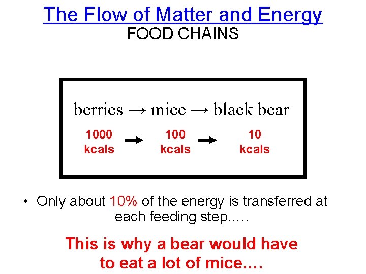 The Flow of Matter and Energy FOOD CHAINS berries → mice → black bear