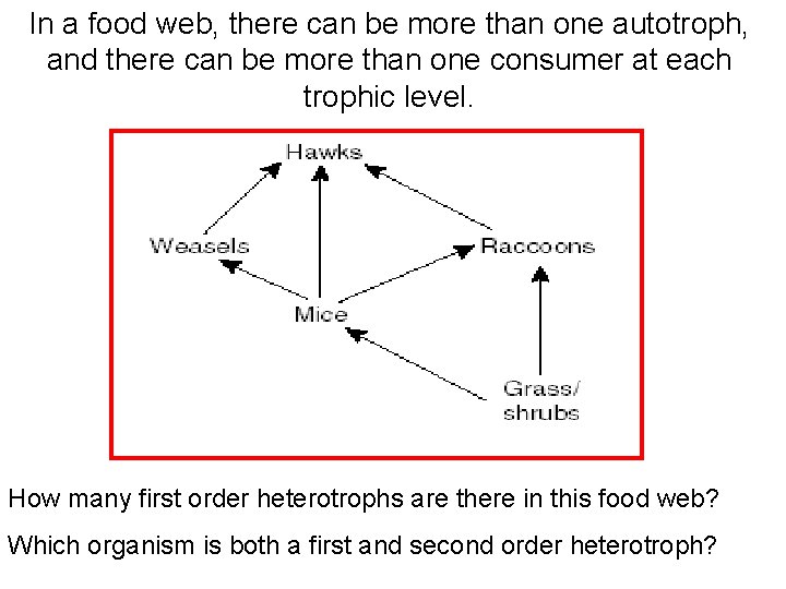 In a food web, there can be more than one autotroph, and there can