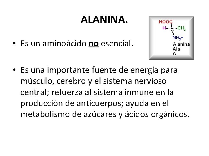 ALANINA. • Es un aminoácido no esencial. • Es una importante fuente de energía