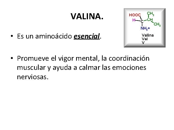 VALINA. • Es un aminoácido esencial. • Promueve el vigor mental, la coordinación muscular