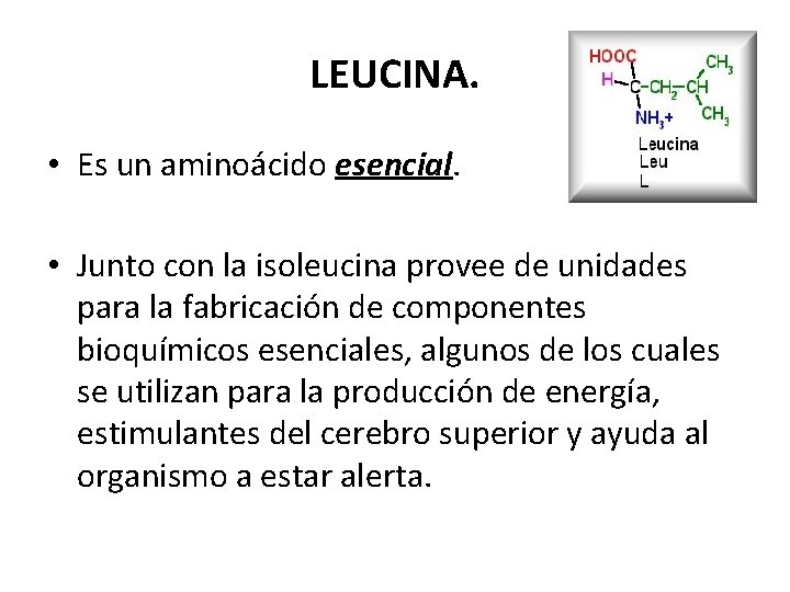 LEUCINA. • Es un aminoácido esencial. • Junto con la isoleucina provee de unidades