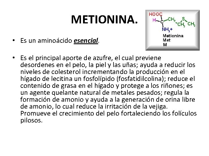 METIONINA. • Es un aminoácido esencial. • Es el principal aporte de azufre, el