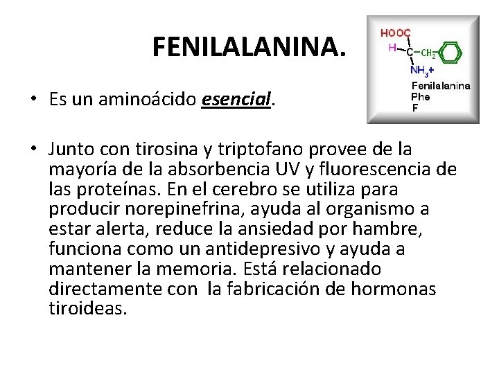 FENILALANINA. • Es un aminoácido esencial. • Junto con tirosina y triptofano provee de