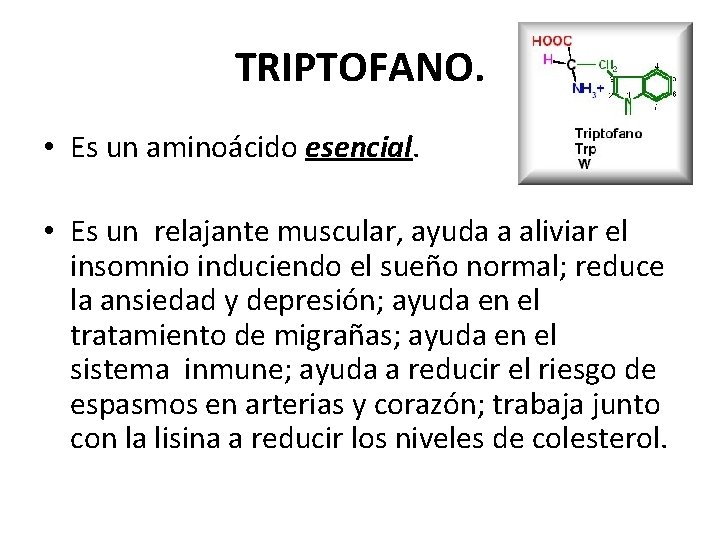 TRIPTOFANO. • Es un aminoácido esencial. • Es un relajante muscular, ayuda a aliviar